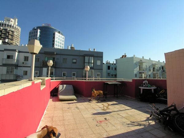 Rooftop APT In Central TLV W Parking 2